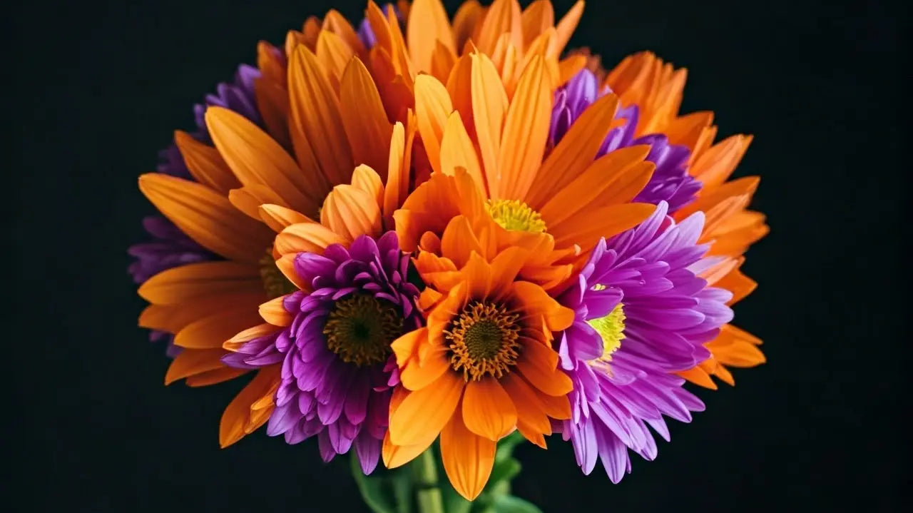 Which Flower Arrangements Are Perfect for Mother's Day Celebrations?