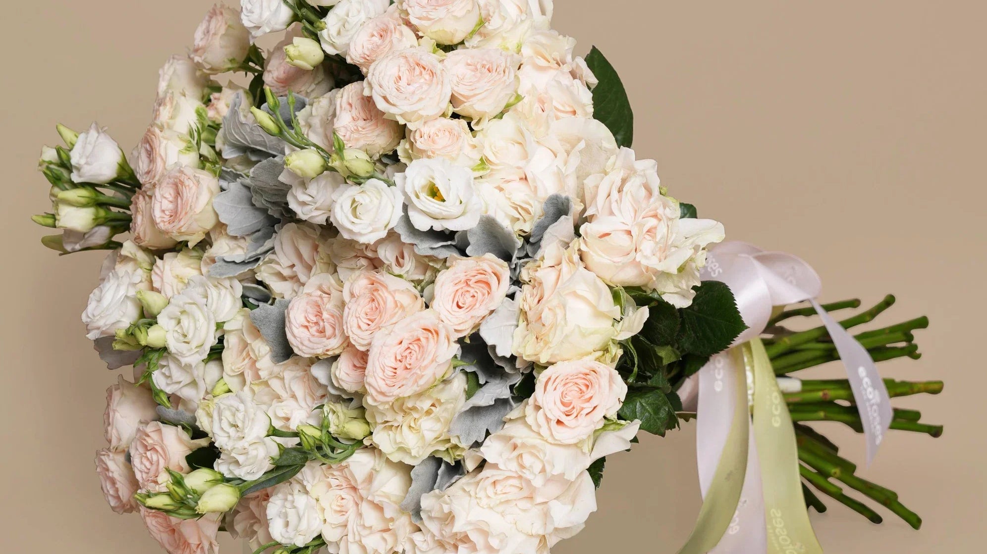 Annual vs. Perennial Flowers: What’s the Difference?