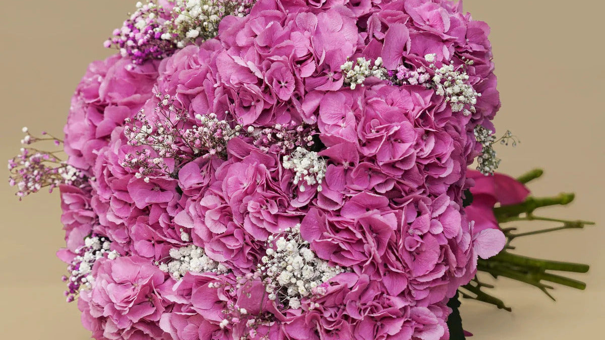 Same Day Bouquet Delivery: How to Send Instant Love in Full Bloom