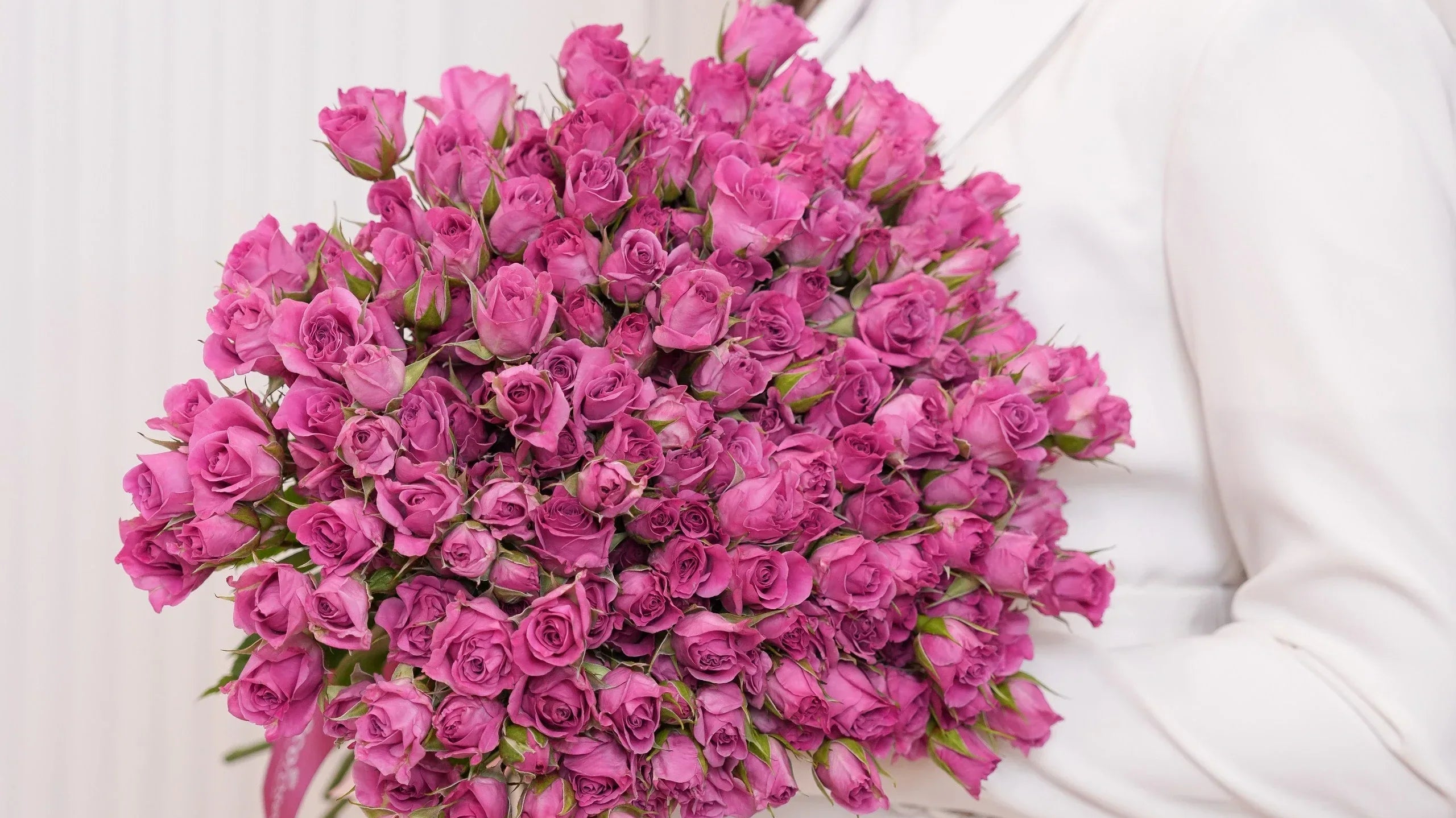 The Math Behind the Perfect Rose Spiral | Fibonacci, Golden Ratio & Floral Geometry