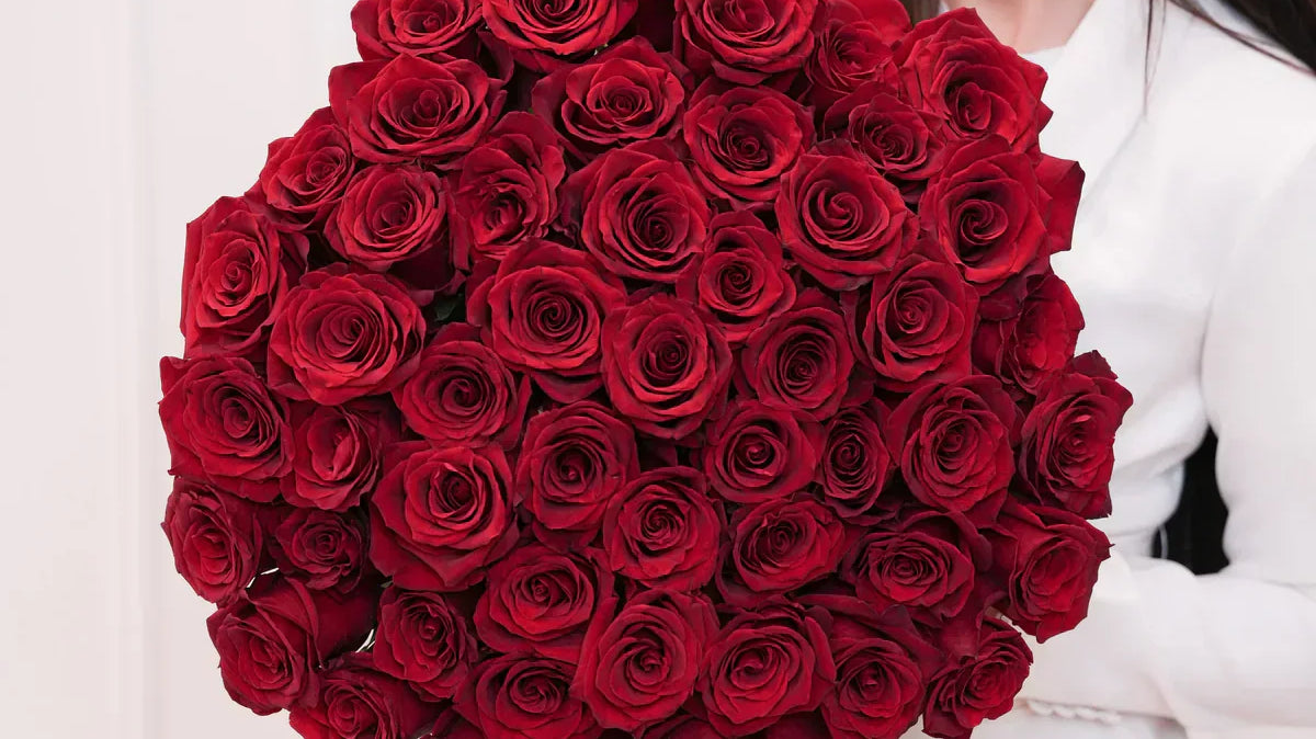 How Different Flowers Affect Your Dreams | Floral Influence on Sleep