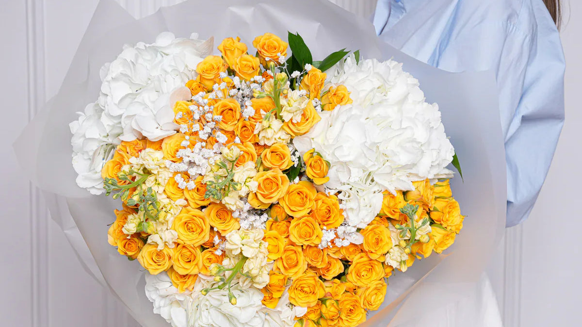 Which Flowers Naturally Purify Indoor Air – Freshen Your Home