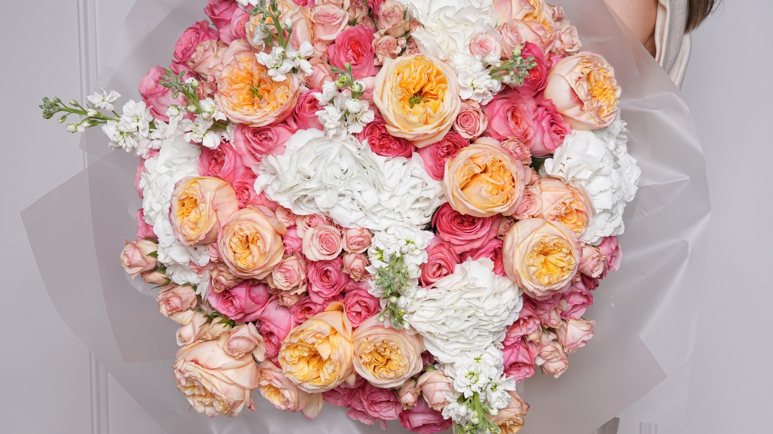 Do Flowers Sleep? A Look at Plant Circadian Rhythms