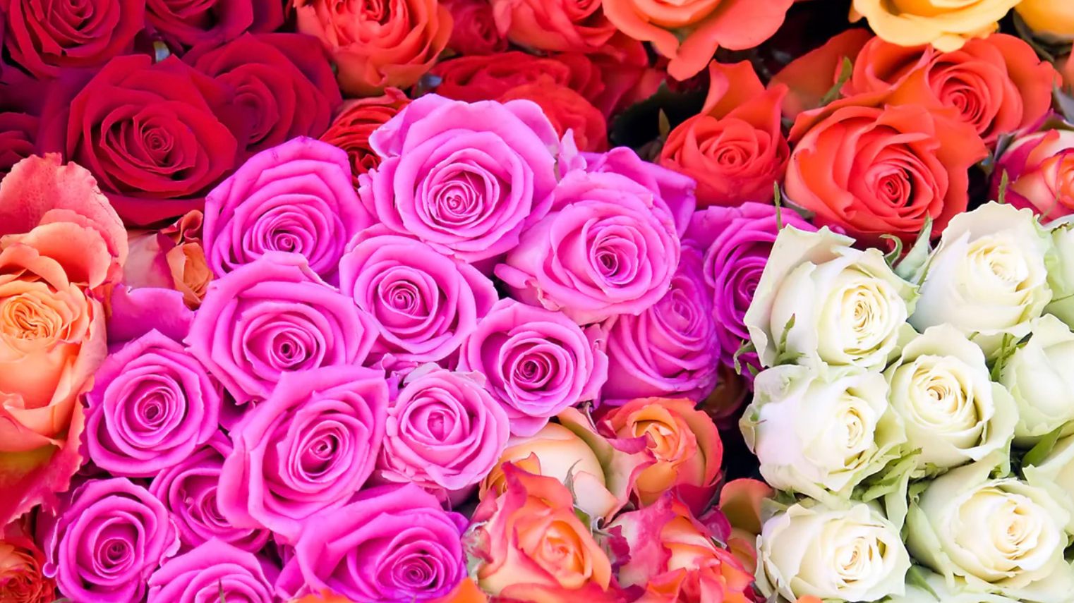 How to Properly Care for Flowers: Make Every Bouquet Last Longer