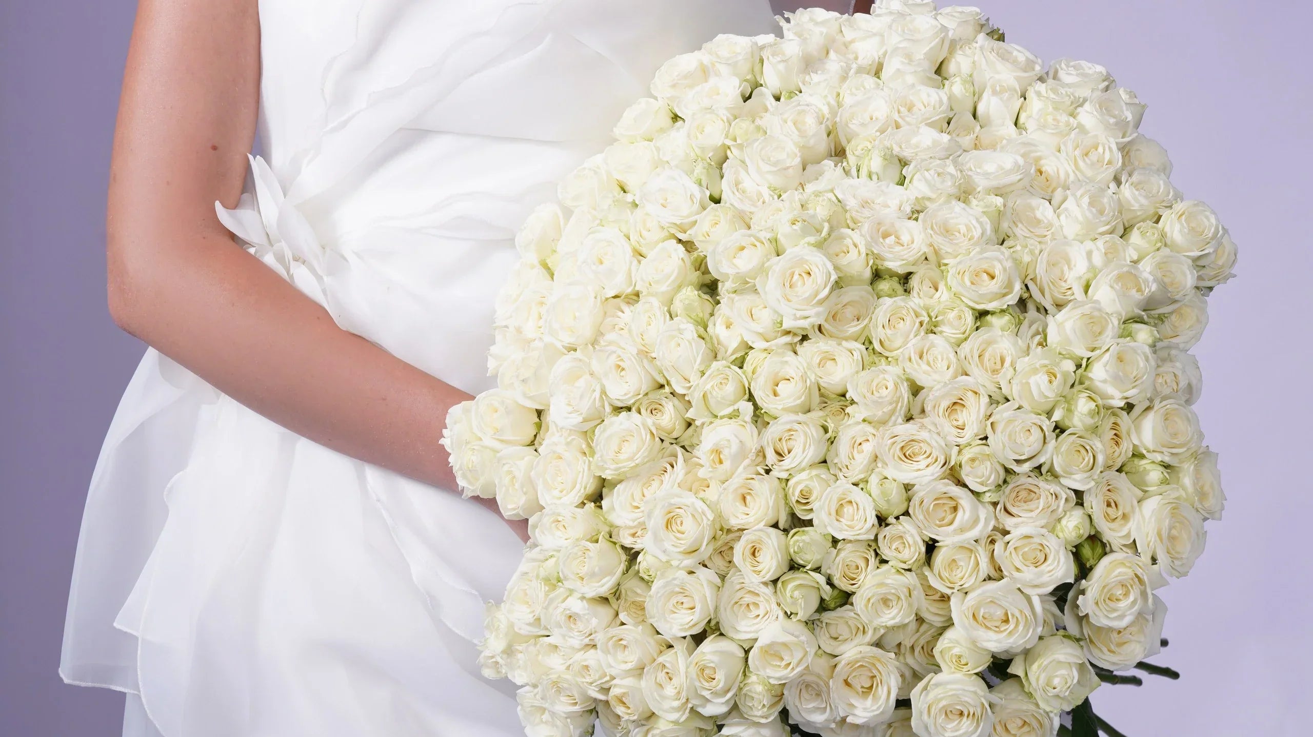 Winter Flowers That Bloom in Cold Climates: 10 Hardy Blooms to Brighten the Chill