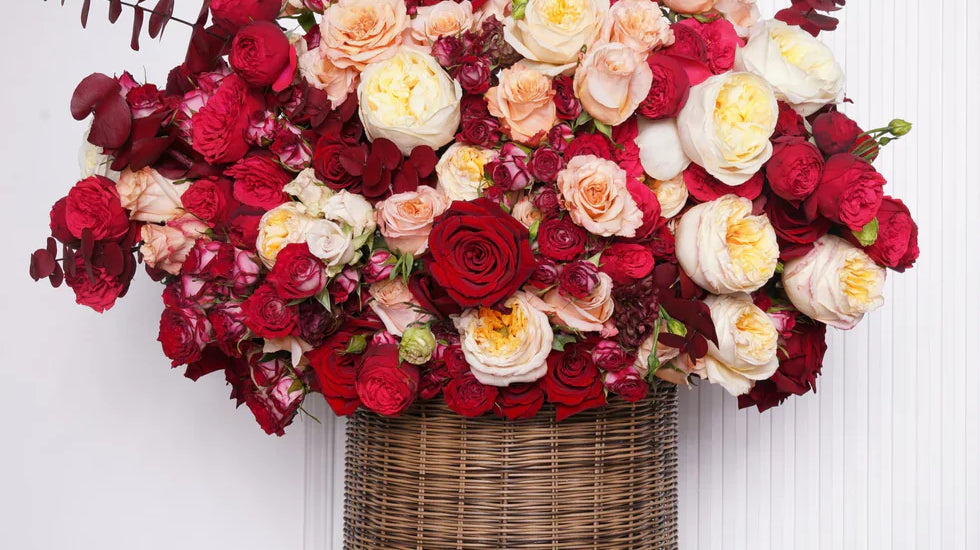 Flowers and Astrology: Which Bloom Matches Your Zodiac Sign | Cosmic Floral Guide