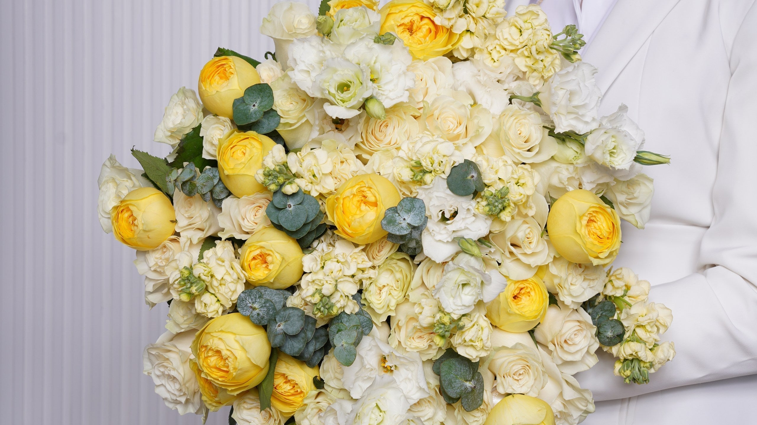 The Most Beautiful Flowers in the World: Nature’s Finest Blooms