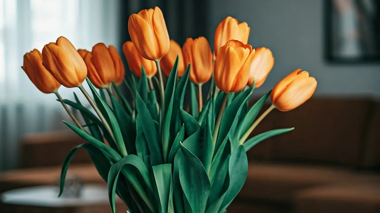 How Dutch Flowers Can Transform Your Space