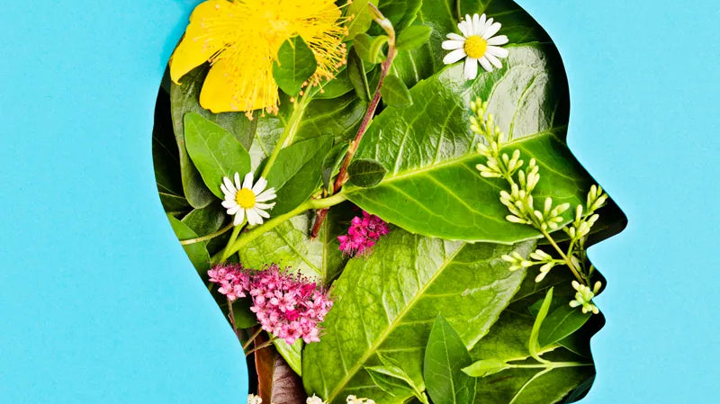 Therapeutic Benefits of Flowers: More Than Just Aesthetics