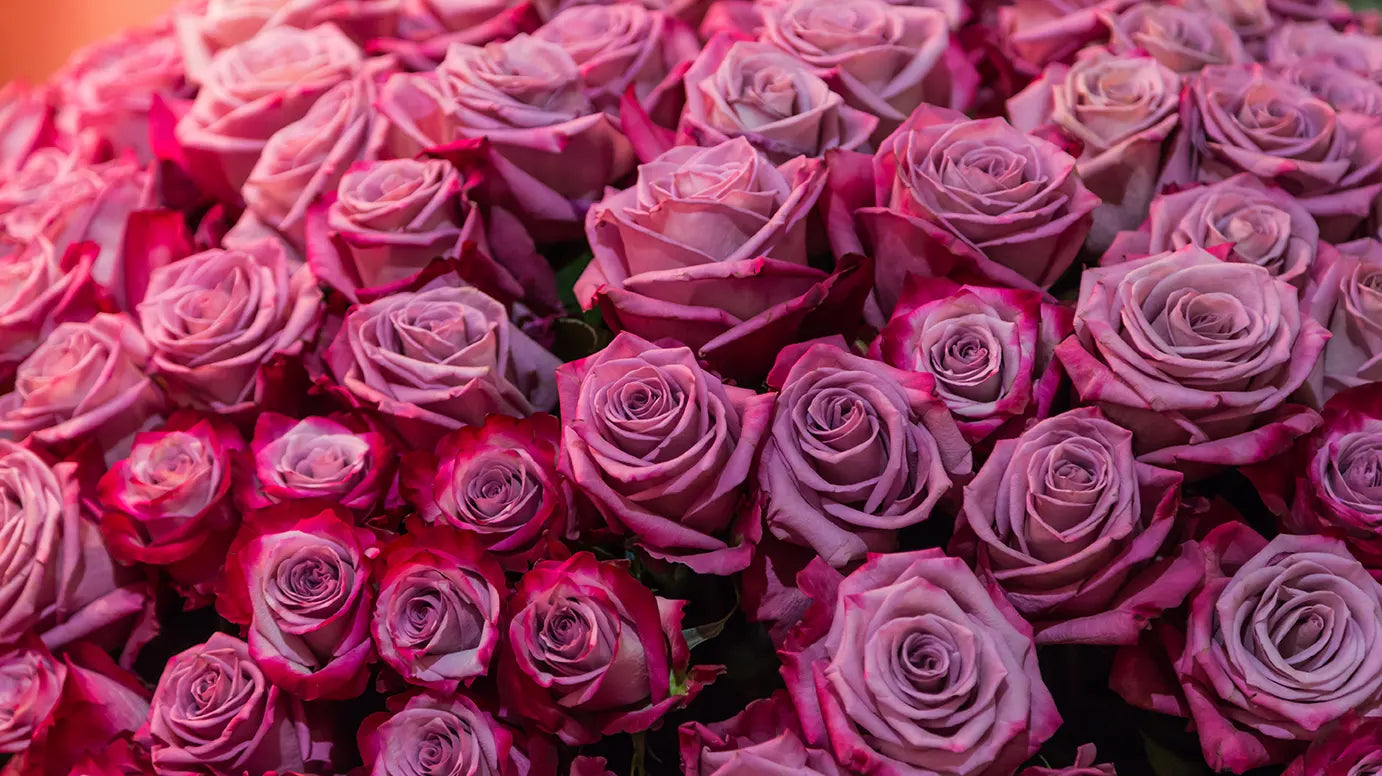 Exploring Sustainable Beauty: A Guide to Eco-Friendly Flower Arrangements