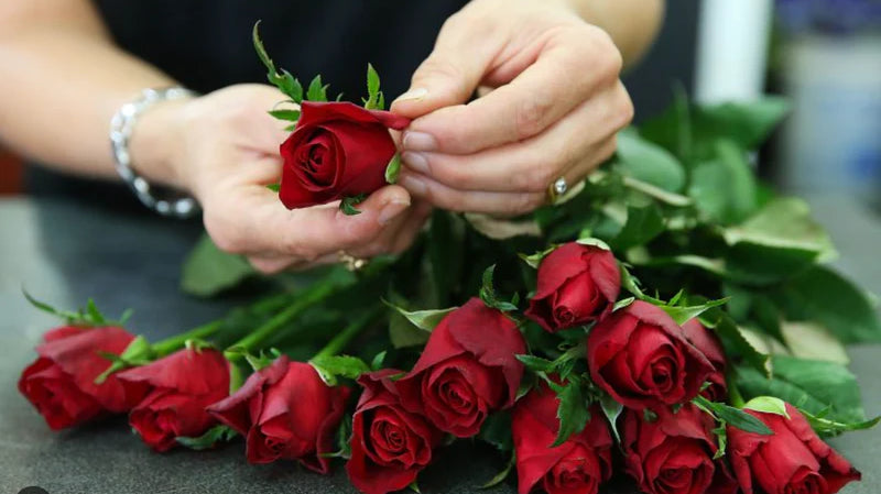 Mastering the Art of Flower Arranging