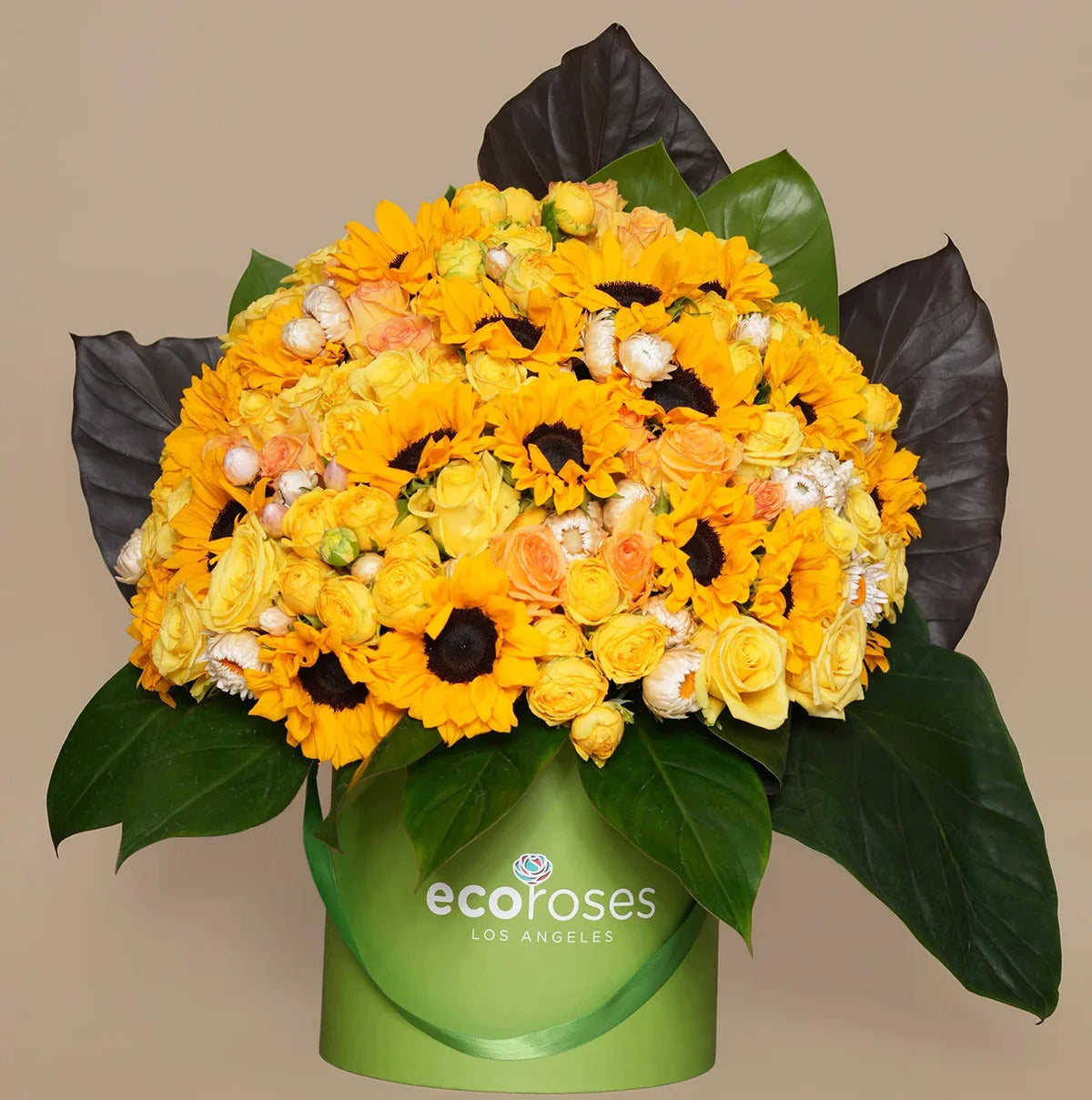 Sunflowers: Bold Blooms That Radiate Joy, Strength, and Sunshine