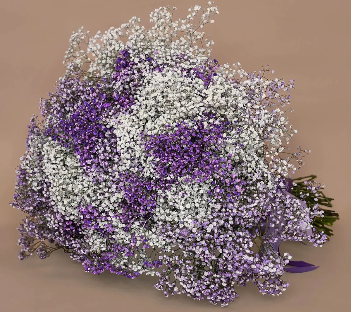 The Rise of Dried Flowers in Interior Design