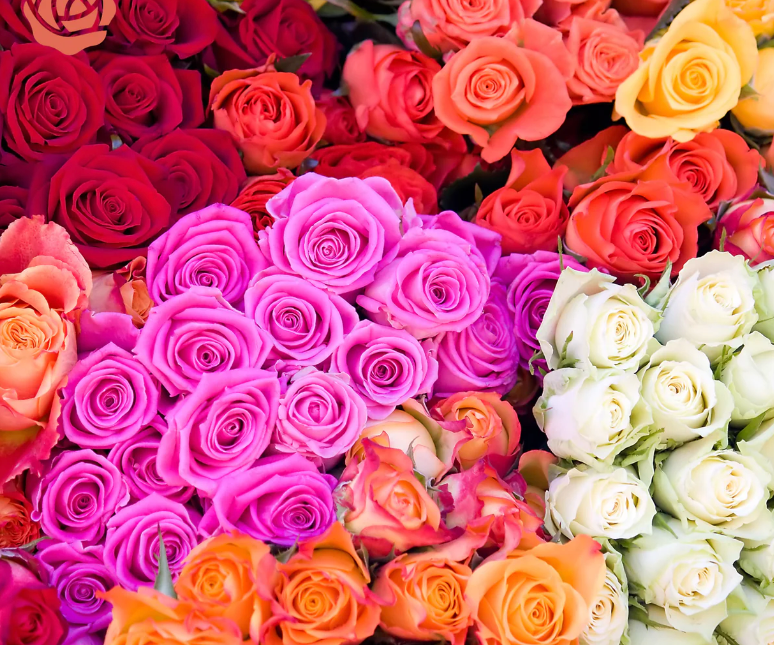How to Properly Care for Flowers: Make Every Bouquet Last Longer