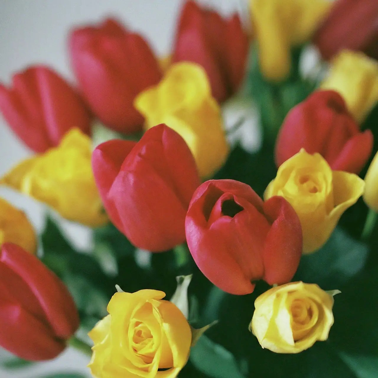 Why Dutch Flowers Are the Preferred Choice for Weddings