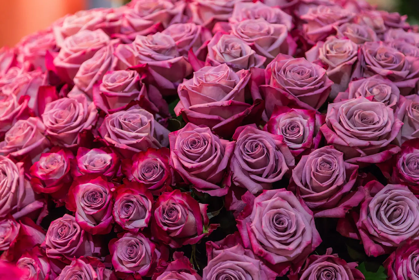 Exploring Sustainable Beauty: A Guide to Eco-Friendly Flower Arrangements