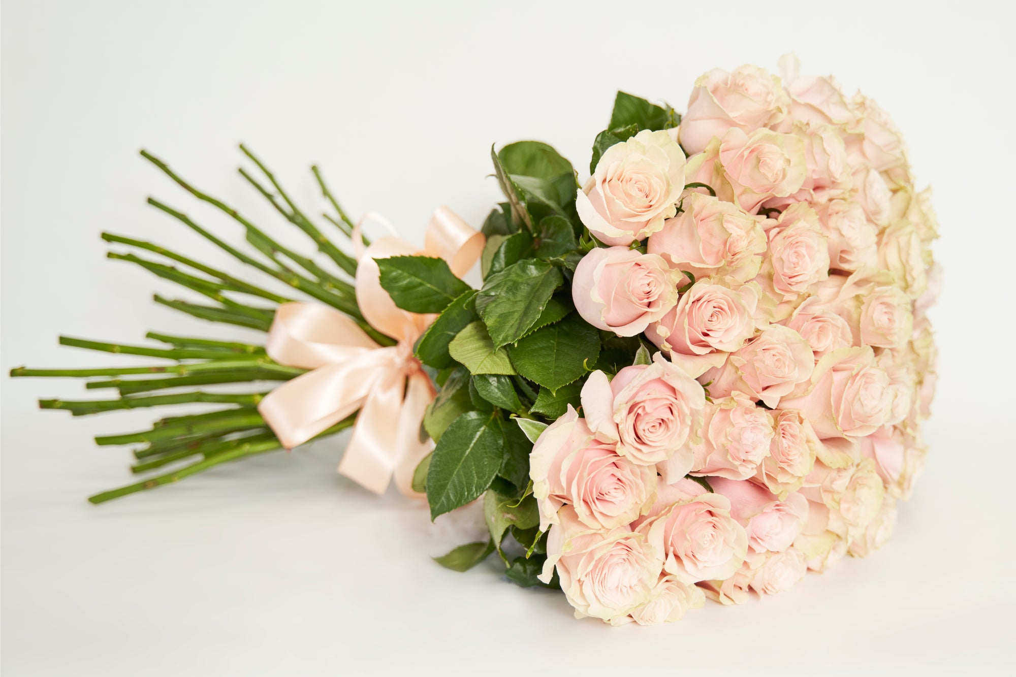 Florist In Glendale- stunning bouquet of 50 Stems 50cm or 70cm Pink Mondial Roses