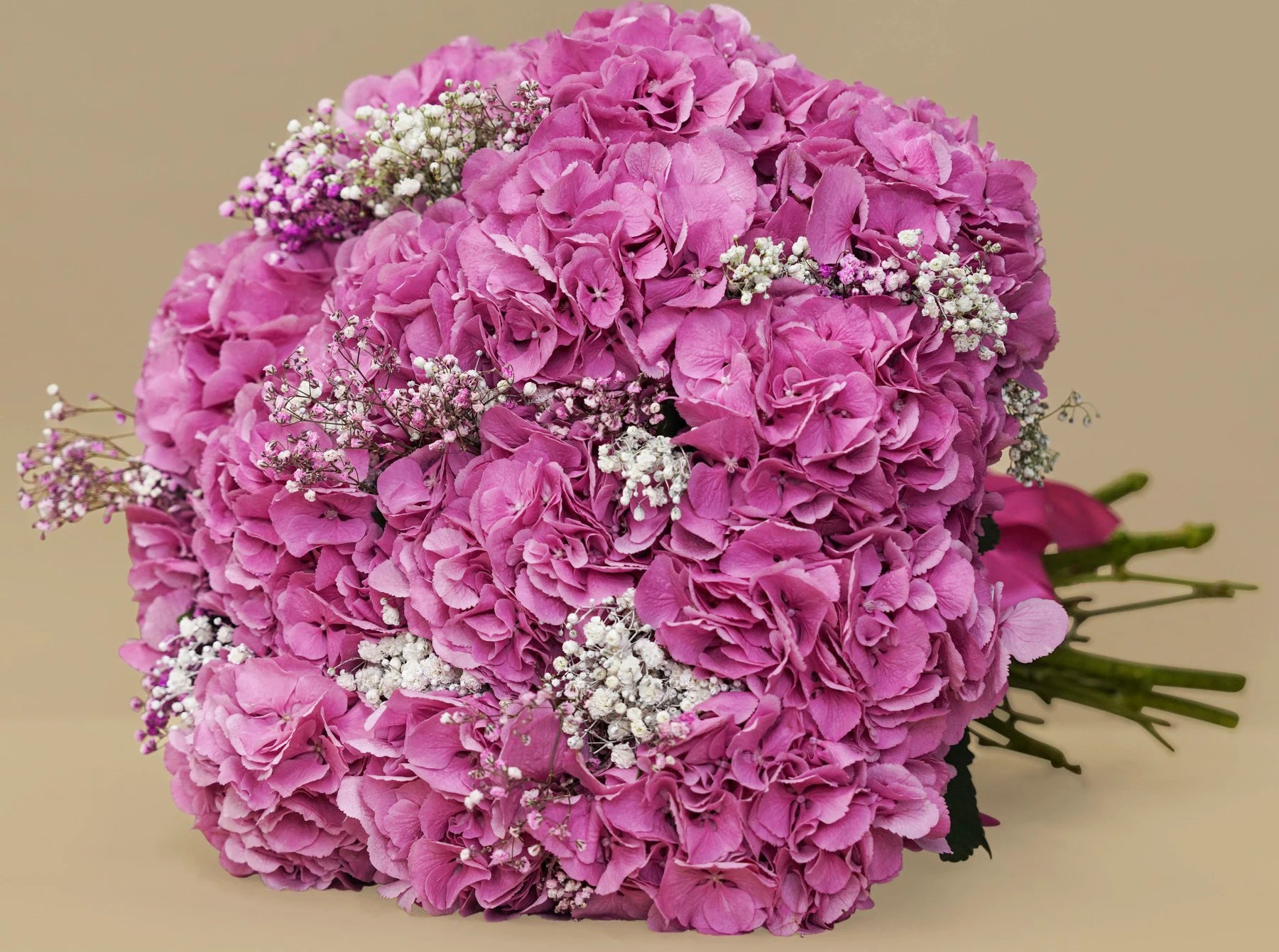 Hydrangea Love Bouquet