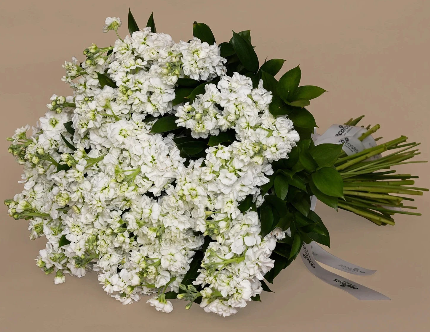 Celestial white Blooms Bouquet