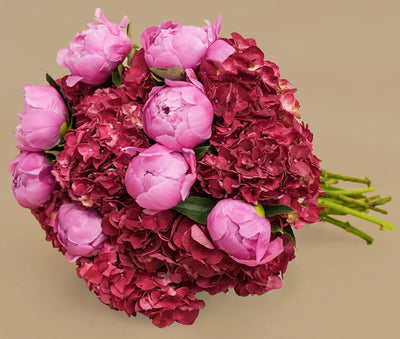 Peony Hydrangea Delight