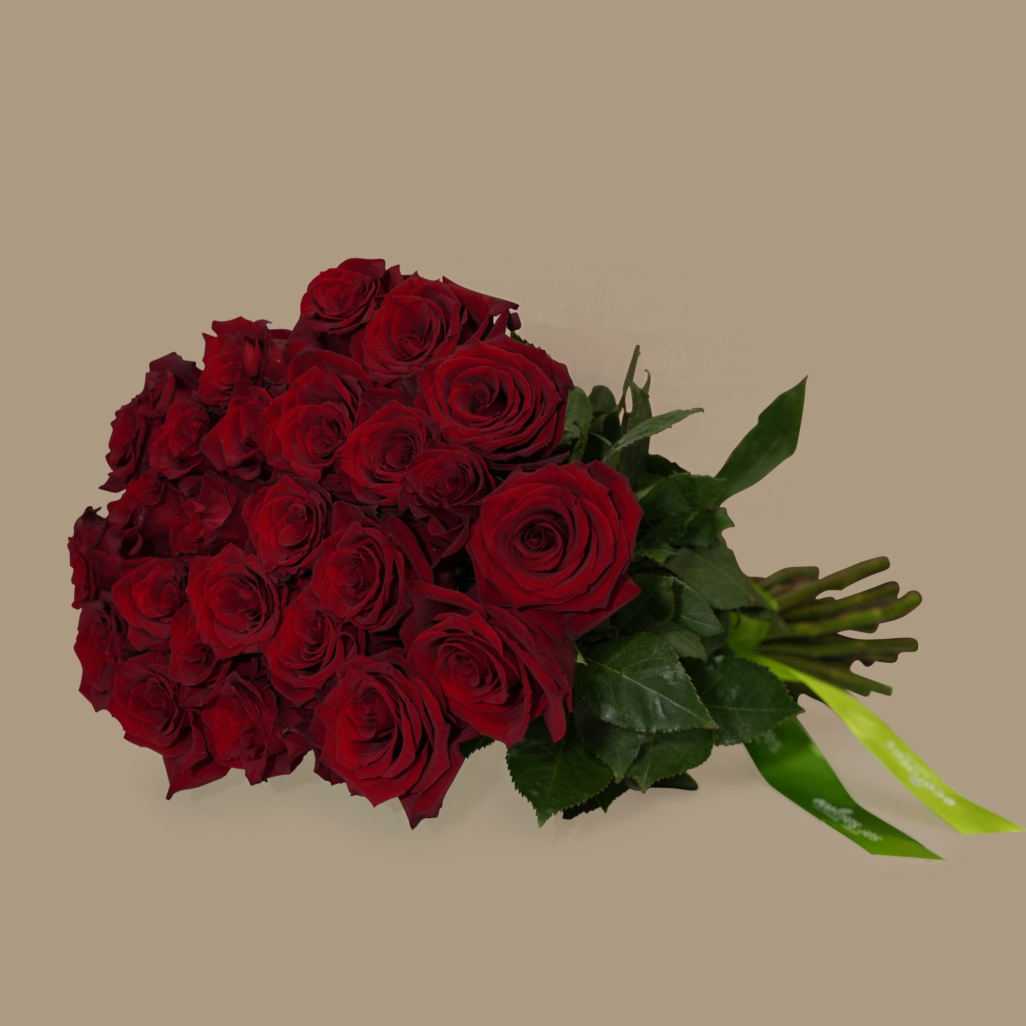 Charming Red Roses