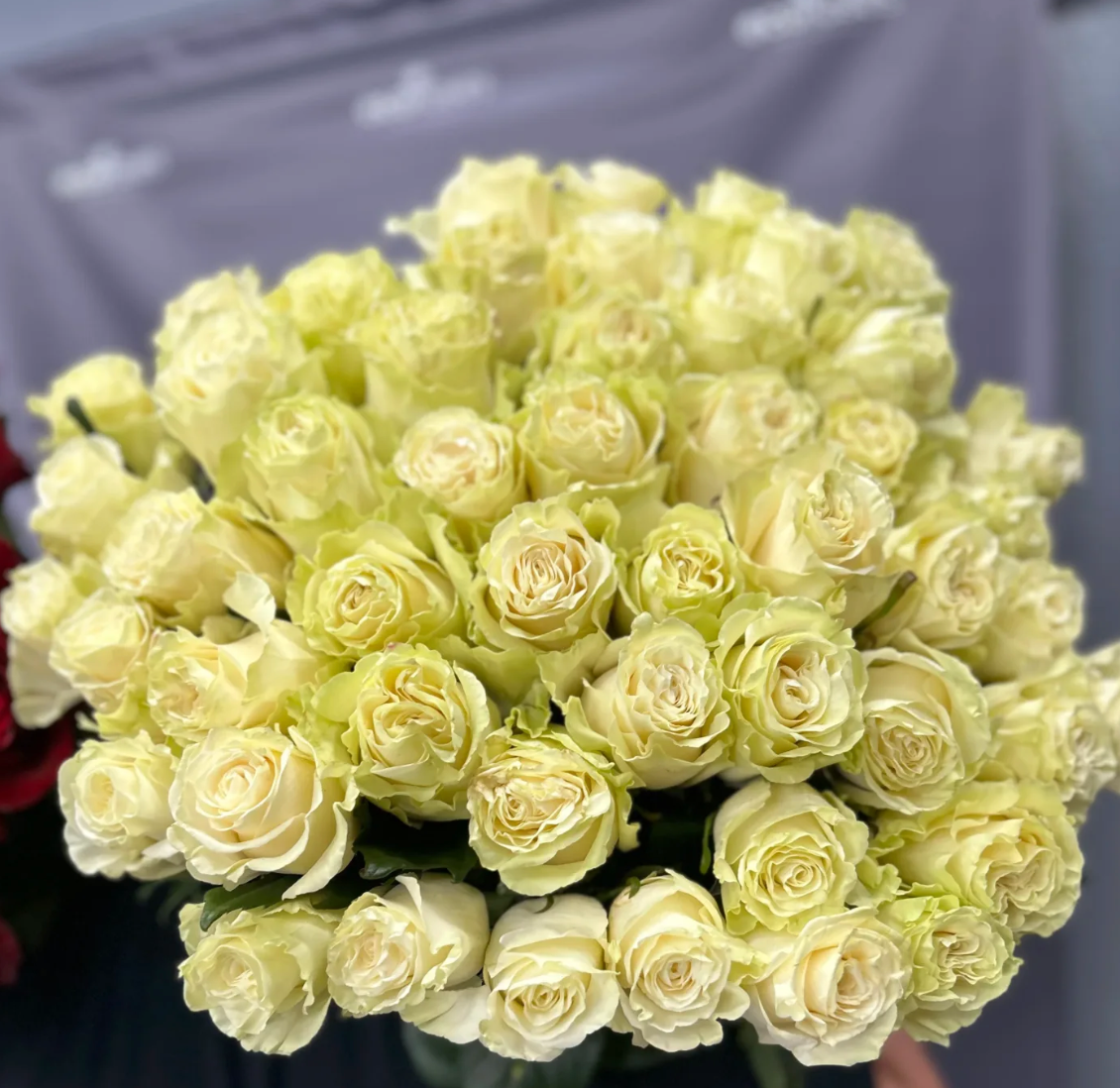 CharmingMondial roses, showcasing the elegance of delicate roses in a charming bouquet Glendale Flowers